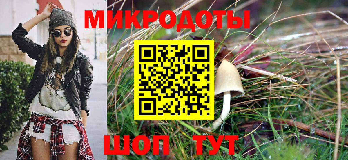 Псилоцибиновые грибы MAGIC MUSHROOMS Коряжма