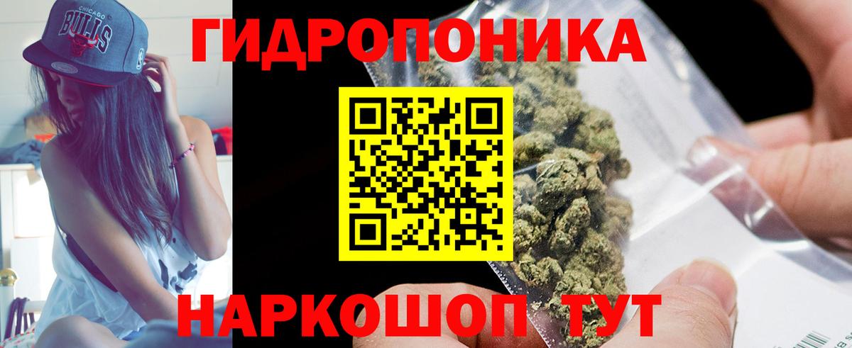 Коряжма  Марихуана ГИДРОПОН  Вход с VPN  Бошки марихуана план 